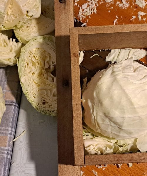 Beseda, ki v slovenščini diši po kosilu, v ruščini pa po čarovniji