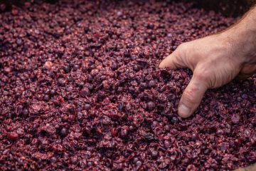 Kaj je žonta? Pozabljena beseda, ki razkrije življenje naših prednikov