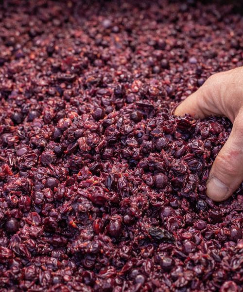 Kaj je žonta? Pozabljena beseda, ki razkrije življenje naših prednikov