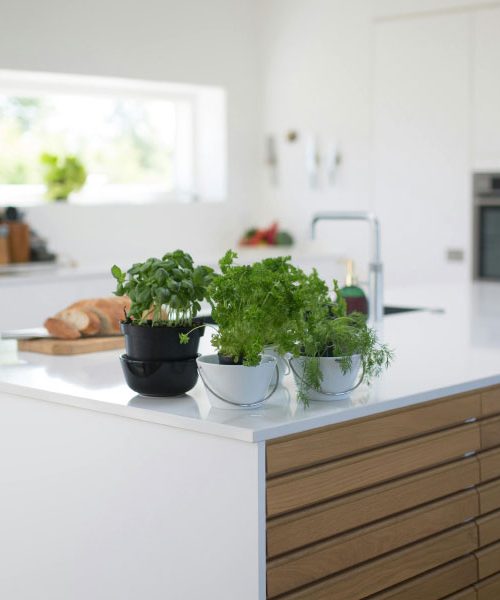 To je prva stvar, ki jo gostje opazijo v vaši kuhinji