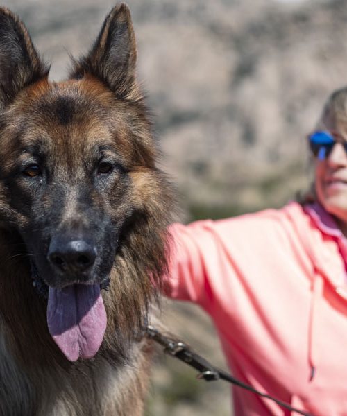 Ste že slišali za besedo poslušnost? Zakaj ima tako močan prizvok še danes