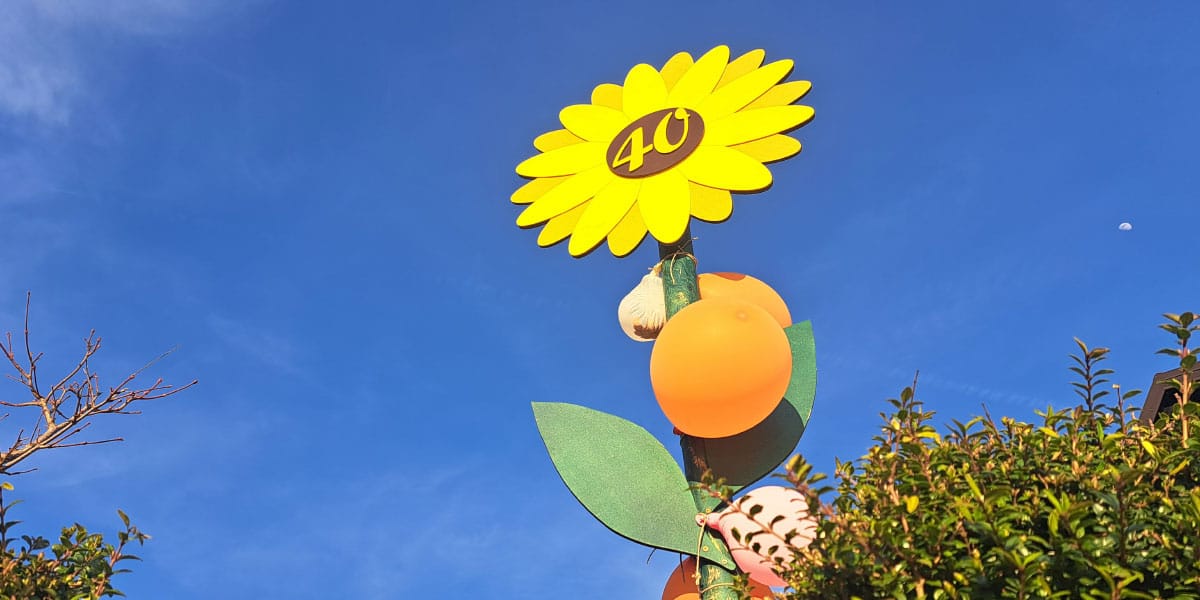 Kako je nastal običaj in zakaj Slovenci še vedno postavljajo mlaje?