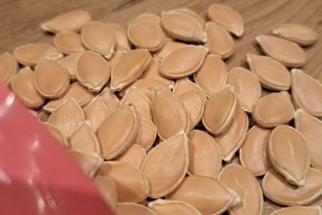 Posušena bučna semena: kako jih uporabiti v kuhinji in na vrtu