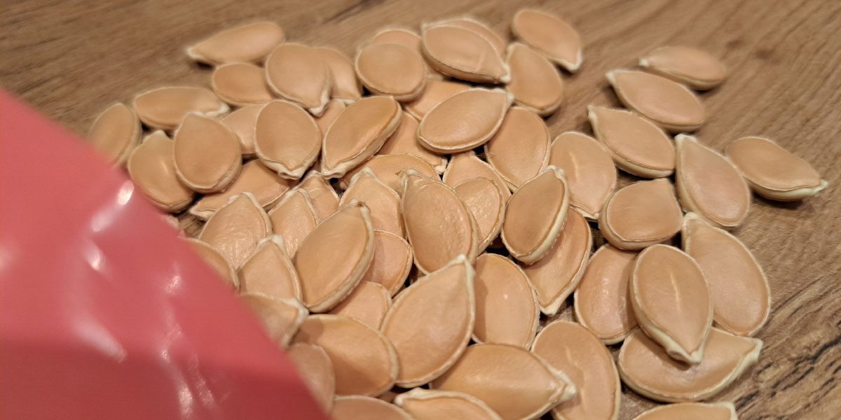 Posušena bučna semena