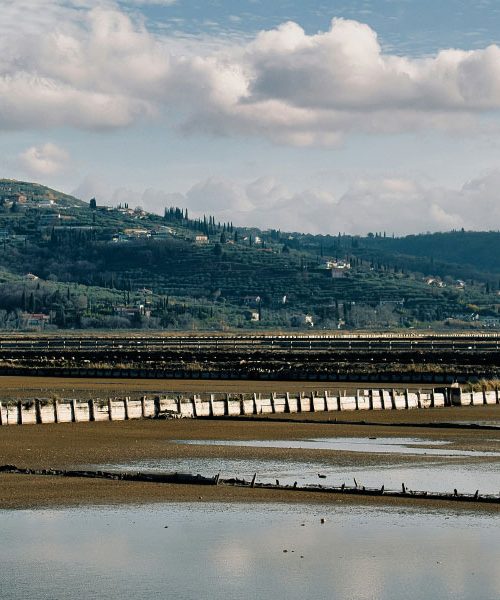Pot od Bernardina do Portoroža ali sprehod skozi Sečoveljske soline