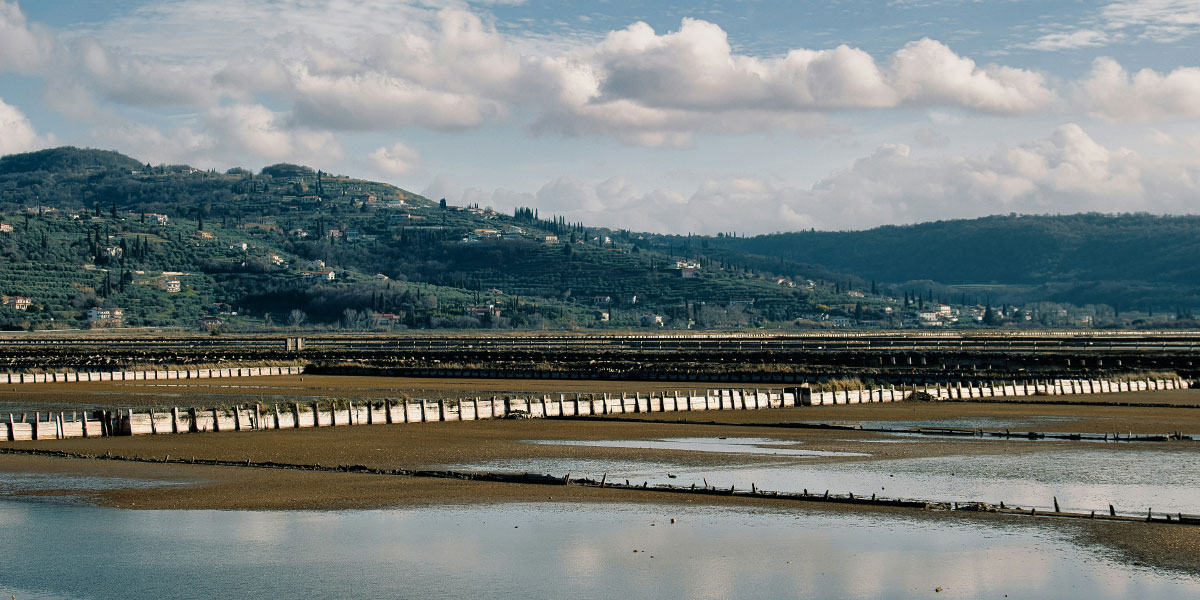 Pot od Bernardina do Portoroža ali sprehod skozi Sečoveljske soline