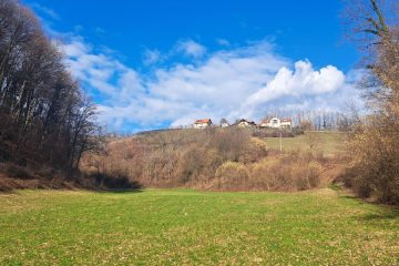 Prvi sončni dnevi po sivi zimi: zakaj je sprehod zdaj izjemno pomemben za telo in imunski sistem