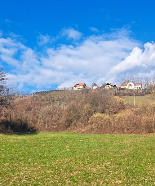 Prvi sončni dnevi po sivi zimi: zakaj je sprehod zdaj izjemno pomemben za telo in imunski sistem