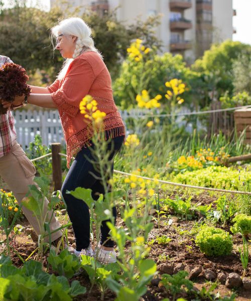 Ta hobi lahko po 50. letu podaljša življenje za do sedem let, kaže nova raziskava