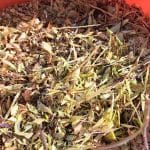 Zeleni odrez in mletje vej