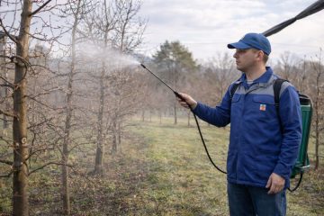 Kdaj škropiti sadovnjak z bakrom? Ta napaka lahko izniči ves trud