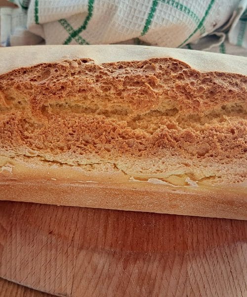 Brezglutenski kruh je naslednji dan pogosto trd, tu se skriva razlog