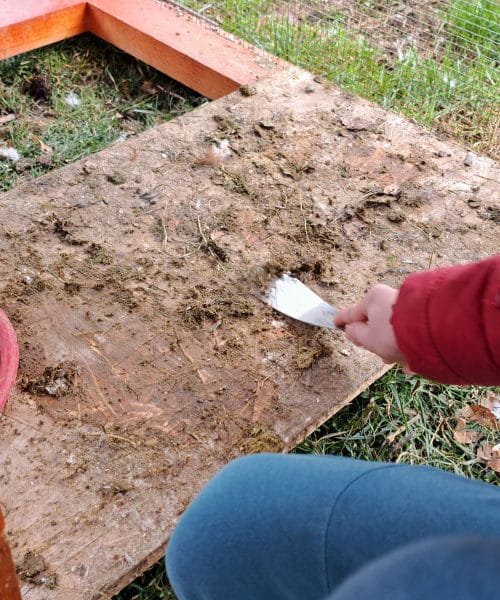 Zakaj umazan kokošnjak hitro postane težava za vse na dvorišču
