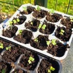 Pripravljalna dela na vrtu