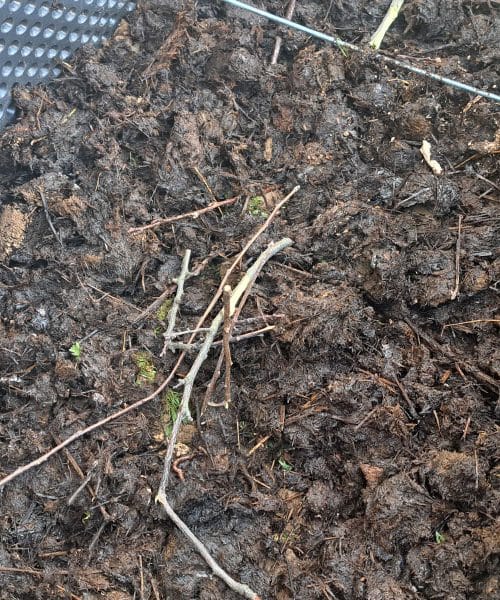 To mnogi vrtnarji naredijo prezgodaj – rastline potem slabše rastejo