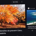 Gumb Spremljaj, Google Discover
