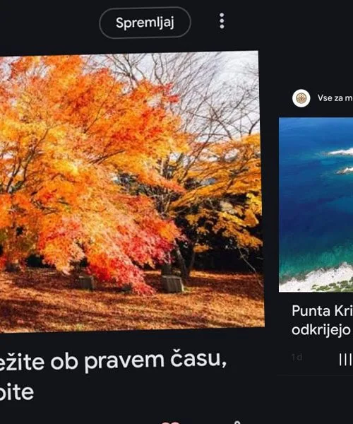 Google Discover dobiva gumb Spremljaj: kaj to pomeni za bralce?