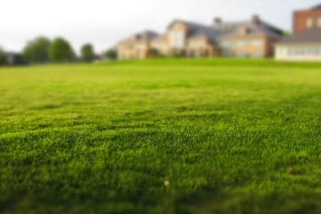 Spomladi lahko trato prebudite brez pretiravanja z gnojili