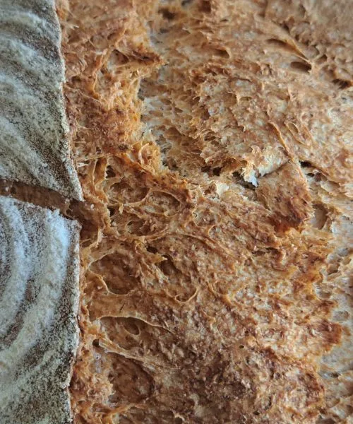 Kruh ni več isti – in prav tu se za mnoge začne težava