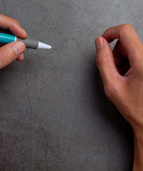 Levičarji ostajajo posebnost, ki že dolgo buri radovednost