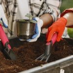 Najpogostejše napake pri vrtnarjenju