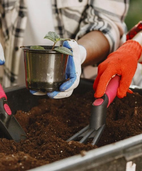 Mnogi vrtnarji marca naredijo to napako, rastline potem slabše rastejo