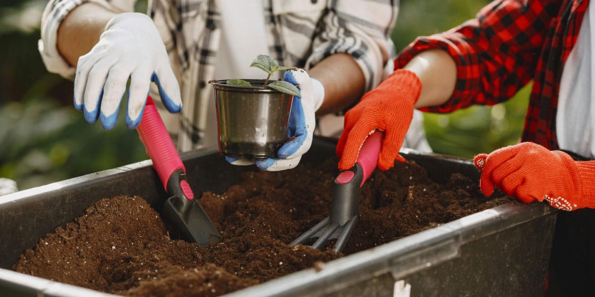 Najpogostejše napake pri vrtnarjenju