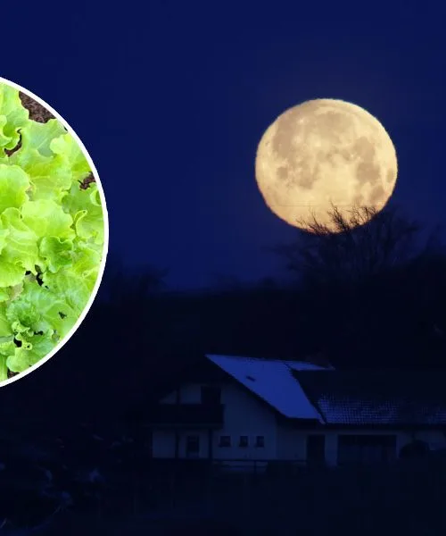 Polna luna aprila 2026 bo posebna, to pravijo koledarji