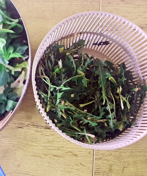 Prve pomladne rastline, ki jih lahko že zdaj dodate v solato