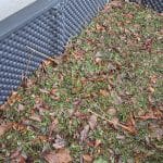 Sveža trava v visoki gredi