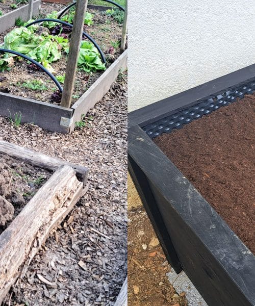 Vrt ali visoka greda? Odločitev, ki lahko spremeni vaš pridelek