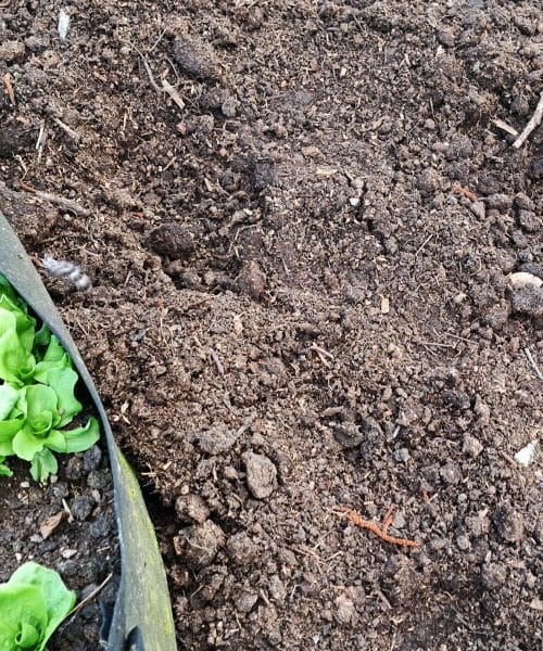 Zbita zemlja po dežju je opozorilo, da vrt potrebuje drugačen pristop