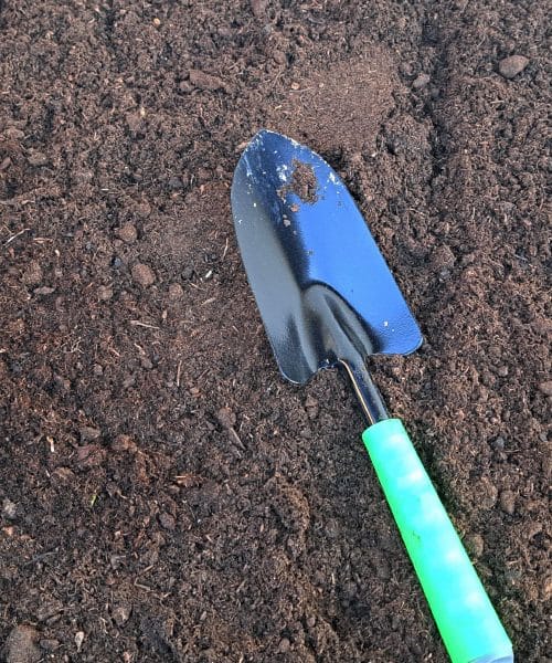 To mnogi vrtnarji naredijo prezgodaj – potem rastline slabše rastejo