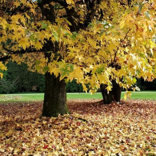 Ta slovenski kraj spomladi očara vse, a ga mnogi še vedno ne poznajo