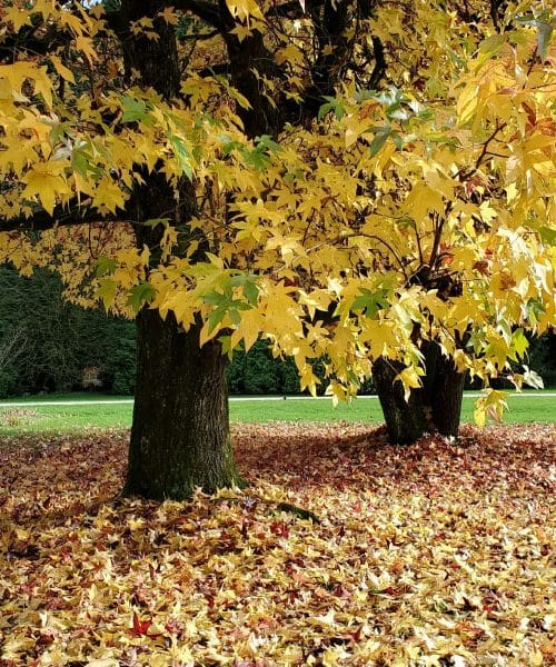 Ta slovenski kraj spomladi očara vse, a ga mnogi še vedno ne poznajo