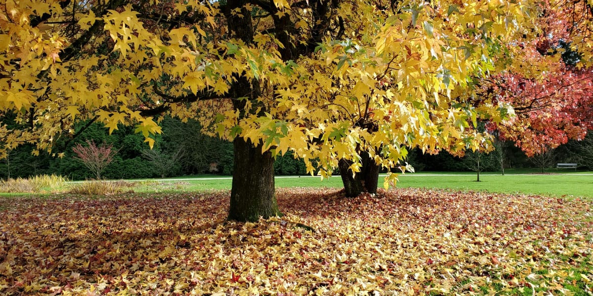 Ta slovenski kraj spomladi očara vse, a ga mnogi še vedno ne poznajo