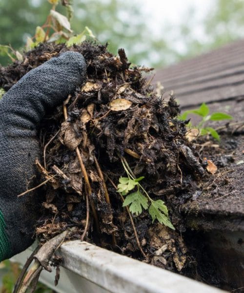 S tem opravilom okoli hiše večina moških odlaša – a zdaj je pravi čas