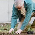 Delo na vrtu, bolečine v križu