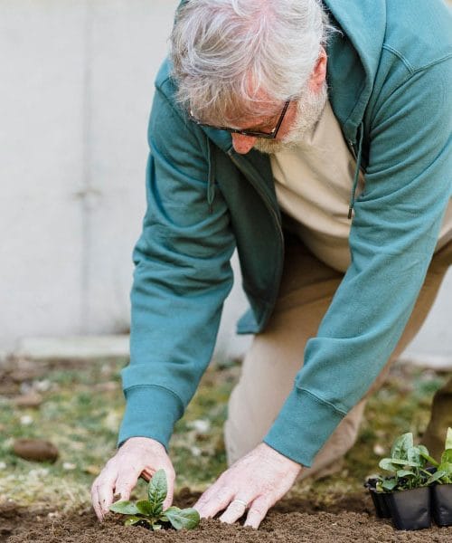 Napake na vrtu, zaradi katerih upokojence najpogosteje zaboli hrbet
