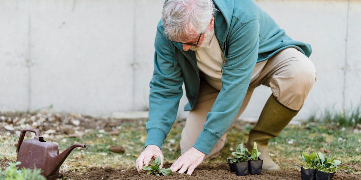 Napake na vrtu, zaradi katerih upokojence najpogosteje zaboli hrbet