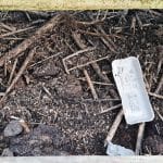 Kaj lahko damo na kompost