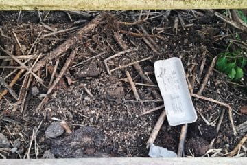 Kaj vse lahko damo na domač kompost in česa raje ne