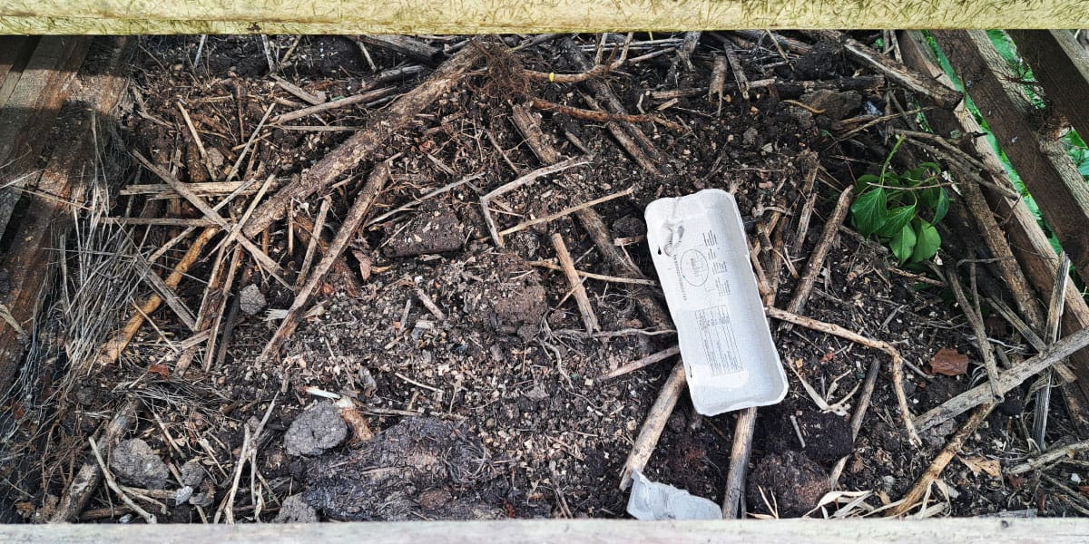 Kaj lahko damo na kompost