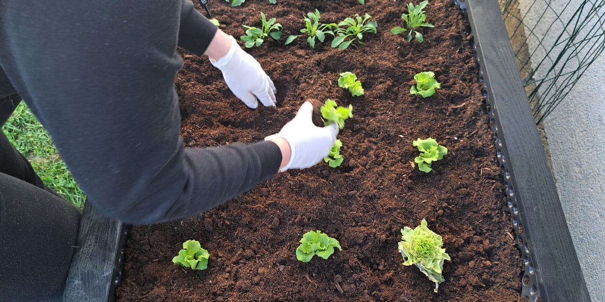 Dva vrtnarska trika, zaradi katerih je tudi majhen vrt videti večji