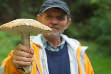 Hobiji, zaradi katerih si vas zapomnijo: pet zanimanj, ki odprejo skoraj vsak pogovor