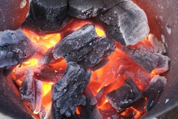 Kako pripraviti oglje za žar, da bo pečenje res uspelo