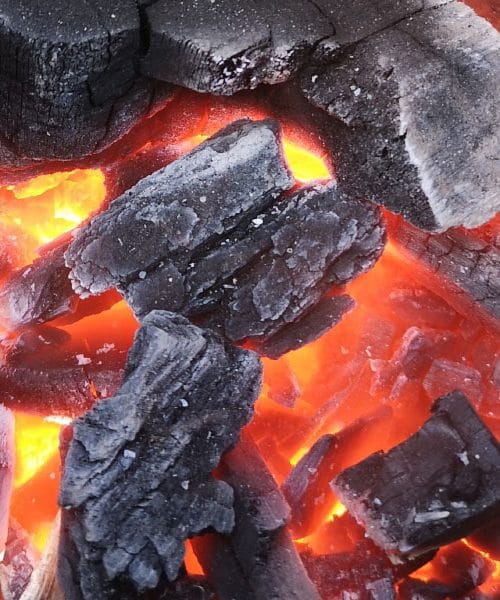 Kako pripraviti oglje za žar, da bo pečenje res uspelo