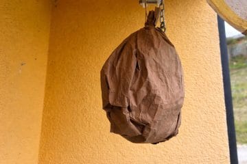 Ose vam še vedno nagajajo? Uporabite trik s papirnato vrečko
