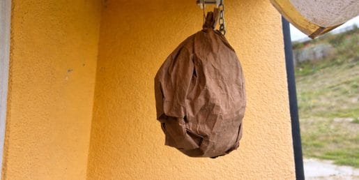 Ose vam še vedno nagajajo? Uporabite trik s papirnato vrečko