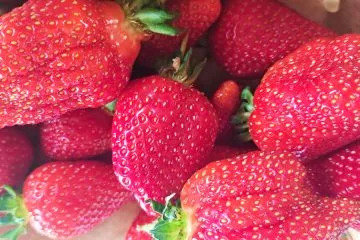 Jagode in soda bikarbona: preprost trik, ki ga pozna vse več ljudi